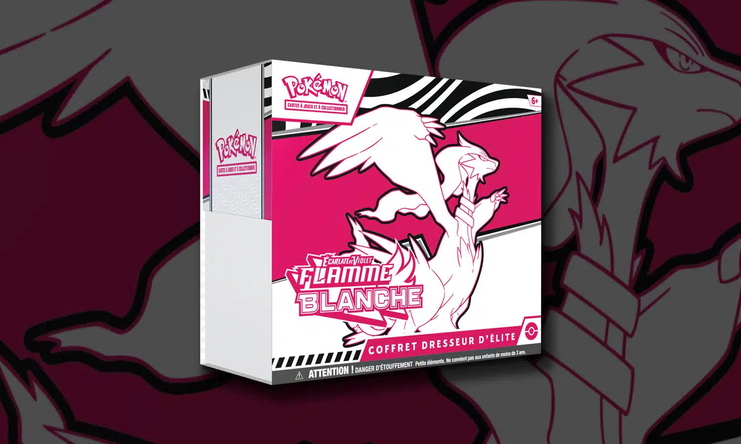 ETB EV10.5 Flammes Blanches FR
